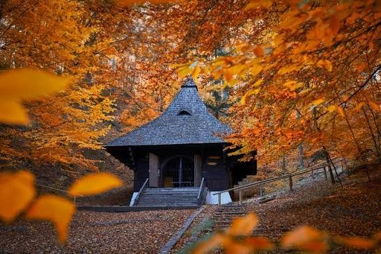 Kaplica św. Rocha