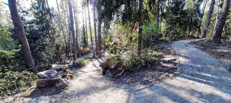 Singletrack Józefów - rowerem MTB